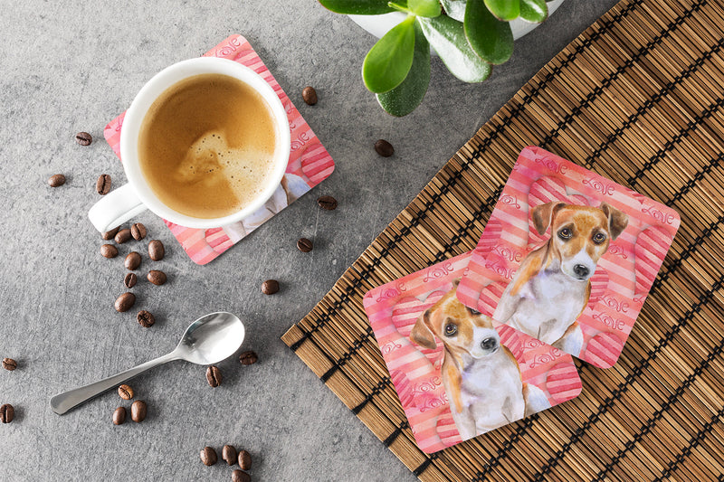 Jack Russell Terrier