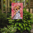 Jack Russell Terrier