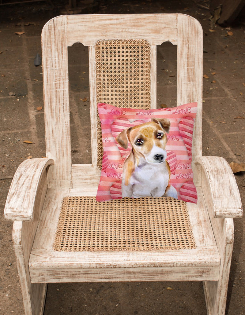 Jack Russell Terrier