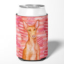 Pharaoh Hound Love Can or Bottle Hugger BB9802CC