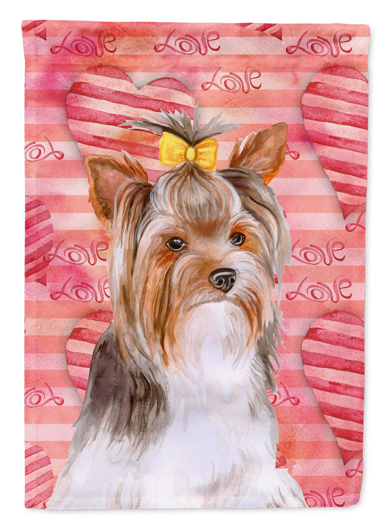 Yorkshire Terrier