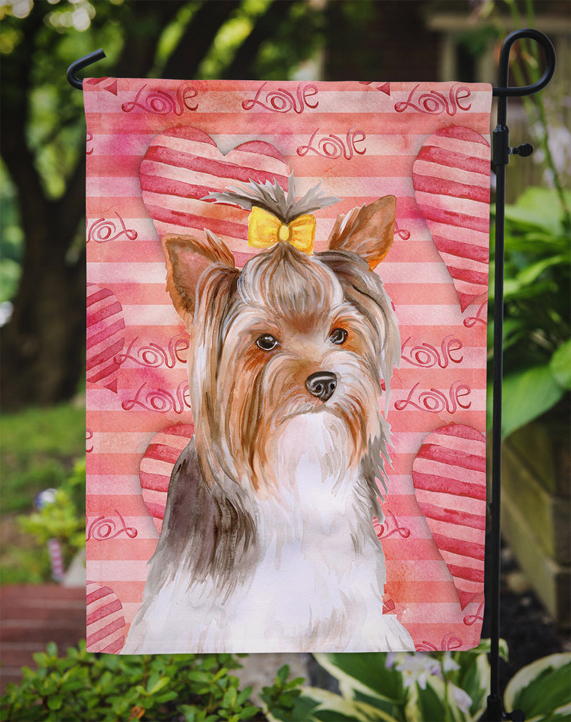 Yorkshire Terrier