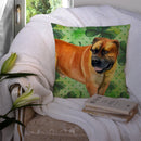 Boerboel Mastiff St Patrick's Throw Pillow - 14x14 Decorative Pillow – Art for Your Home & Patio BB9820PW1414