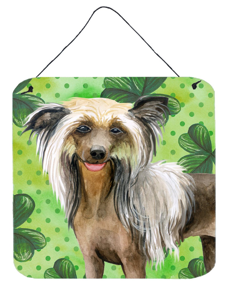 Chinese Crested St Patrick's Wall or Door Hanging Prints BB9833DS66