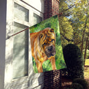 Shar Pei St Patrick's House Flag 28x40 Porch Sleeve Pole Decorative Outside Yard Banner Artwork Wall Hanging, Polyester