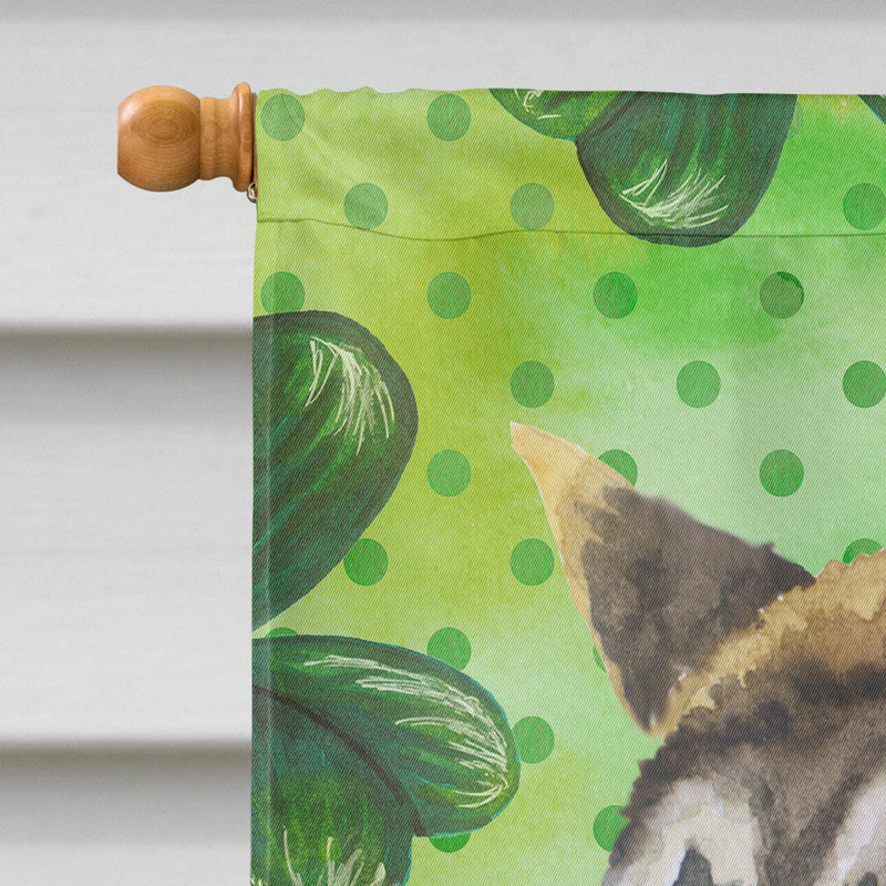 American Akita St Patrick's Flag Canvas House Size BB9843CHF