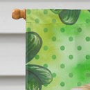 Pekingese St Patrick's House Flag 28x40 Porch Sleeve Pole Decorative Outside Yard Banner Artwork Wall Hanging, Polyester