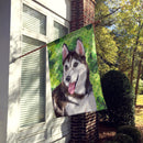 Siberian Husky