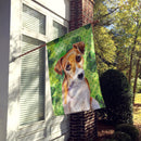 Jack Russell Terrier