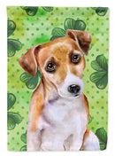Jack Russell Terrier