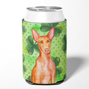 Pharaoh Hound St Patrick's Can or Bottle Hugger Cooler Sleeve for Standard 12 oz Cans, Insulated Foam Beer & Soda Can Hugger Reusable