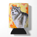 Alaskan Malamute Fall Can or Bottle Hugger BB9899CC
