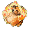Rhodesian Ridgeback Fall Foam Coasters Set of 4 Cup Coasters for Indoor Outdoor, Tabletop Protection, Anti Slip, Mouse pad Material