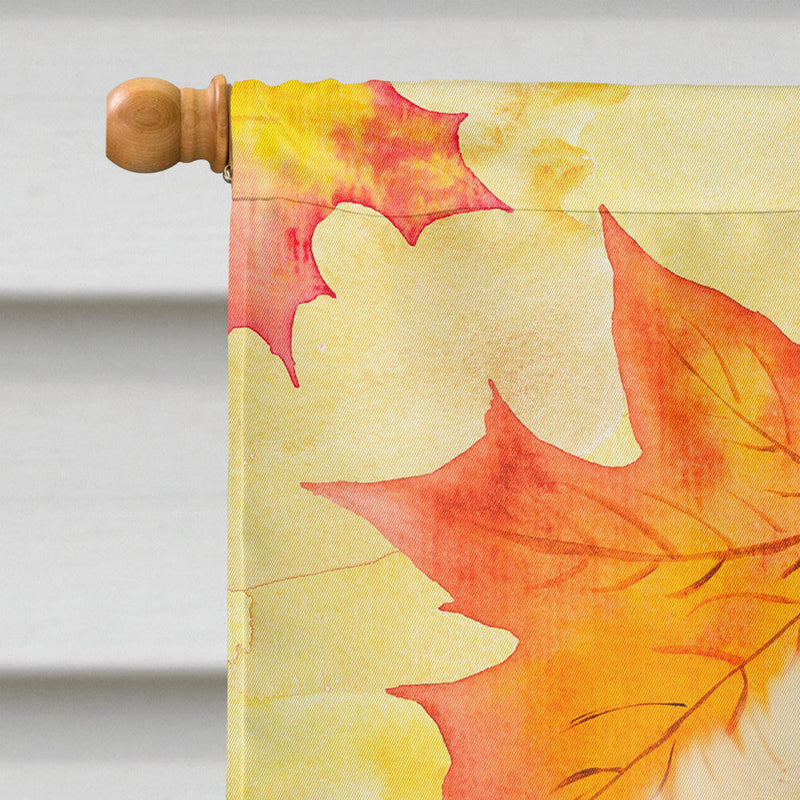 Pomeranian Fall Flag Canvas House Size BB9943CHF