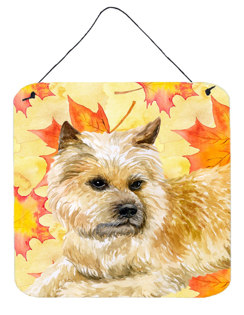 Cairn Terrier Fall Wall or Door Hanging Prints BB9951DS66