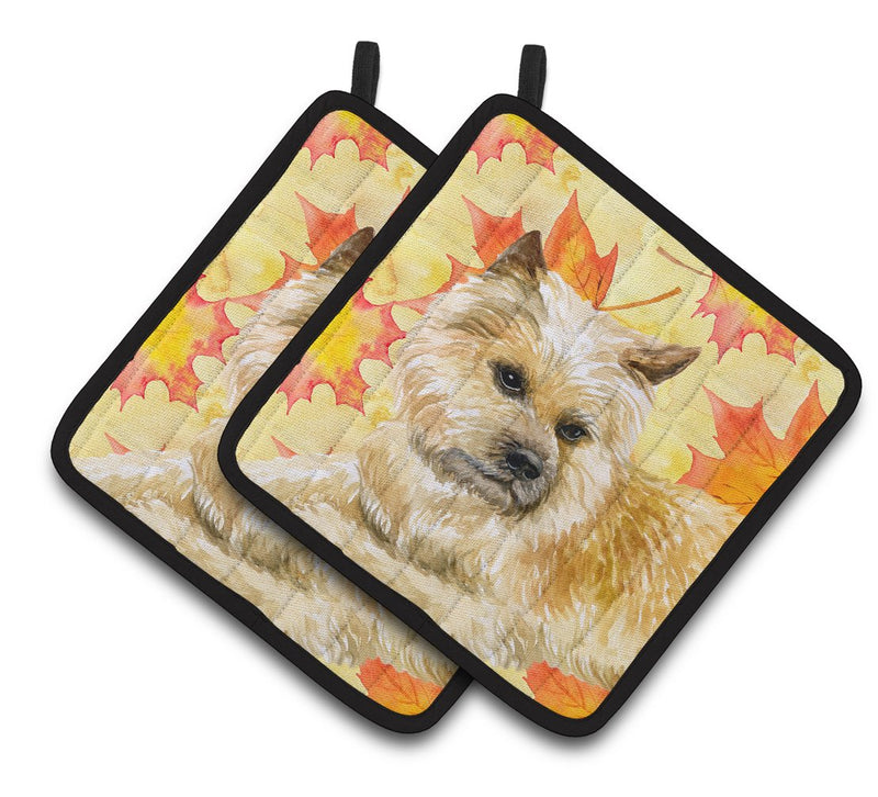 Cairn Terrier Fall Pair of Pot Holders BB9951PTHD