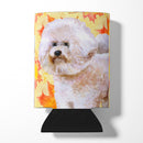 Bichon Frise