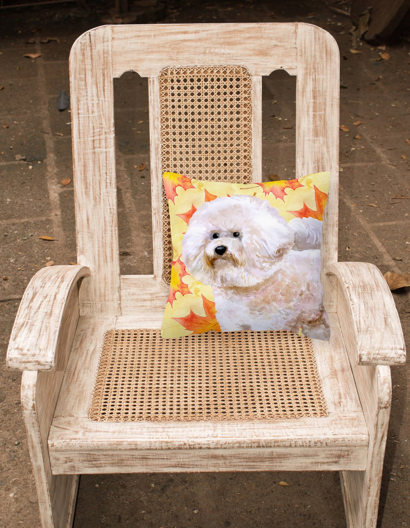 Bichon Frise