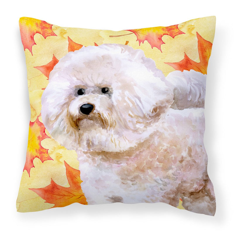 Bichon Frise
