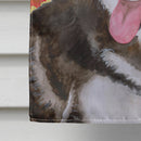 Siberian Husky
