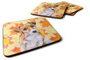 Jack Russell Terrier