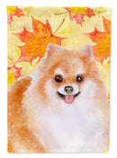 Pomeranian