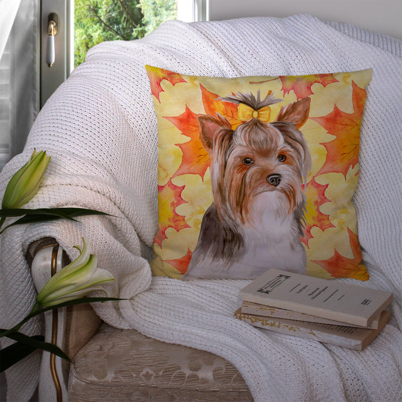 Yorkshire Terrier