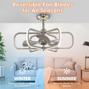 30" Theron Modern DC Motor Downrod Mount Reversible Ceiling Fan with LED Lighting and Remote Control