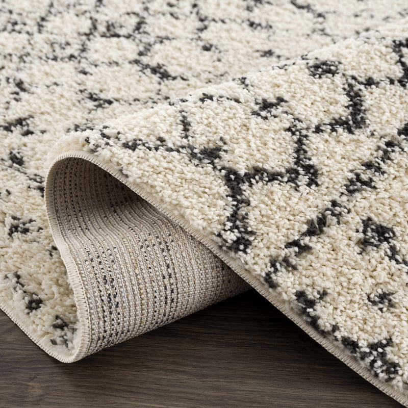 Kibureau Area Rug - Clearance