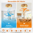 21 Inch Golden Flower-shape Farmhouse Rattan Flush Mount Ceiling Fan with Light APP and Remote Control