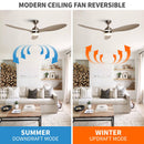 56" Bernardino Modern Brushed Nickel DC Motor Downrod Mount Reversible Ceiling Fan with Lighting and Remote Control