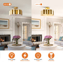 Golden Modern Semi Flush 3-Light Ceiling Lighting