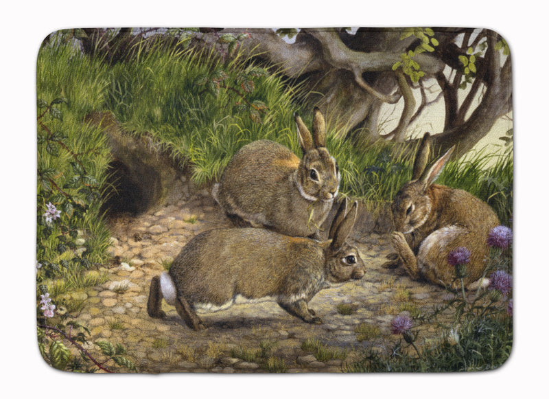 Rabbits and the Rabbit Hole Machine Washable Memory Foam Mat BDBA0136RUG