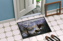 Eagles by Daphne Baxter Doormat Indoor Outdoor 24H X 36W Front Door Mat Rugs for Entryway, Non Slip Washable Low Pile,