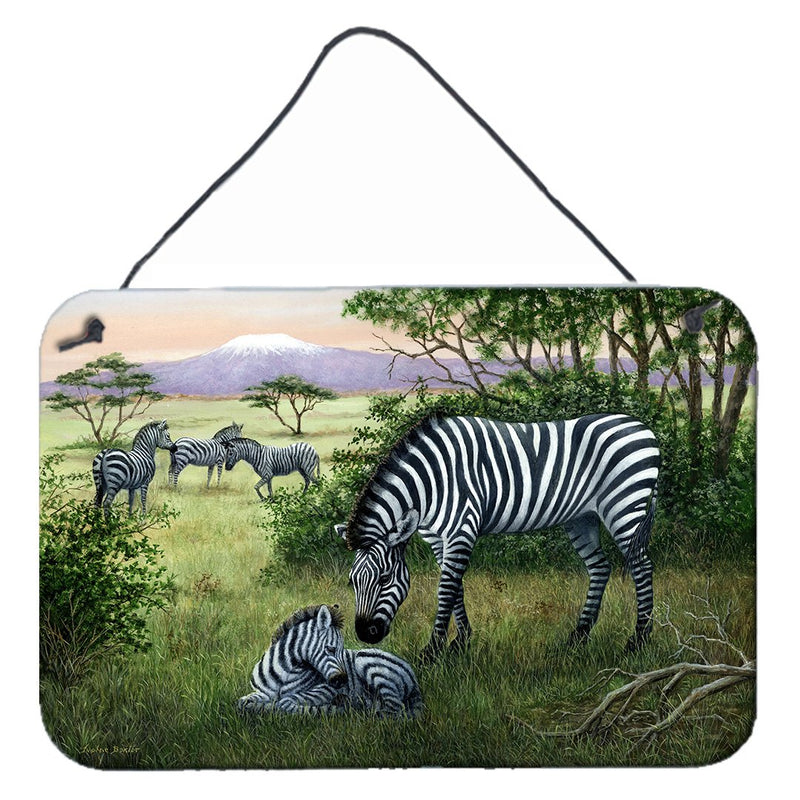 Zebras in the Field with Baby Wall or Door Hanging Prints BDBA0385DS812