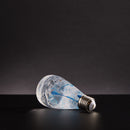 EP LIGHT Xmas Gift - 3-Pack Bulb Bundle
