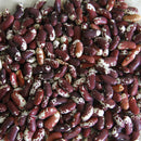 Jacob's Cattle Bean (Bush)