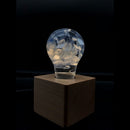EP LIGHT Gift Set - 3-Pack LED Lights by EP Designlab LLC