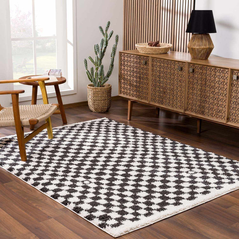 Kieu Black & White Checkered Area Rug