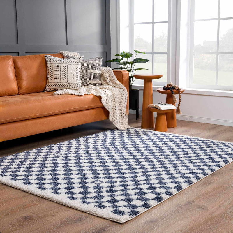 Kieu Blue & White Checkered Area Rug