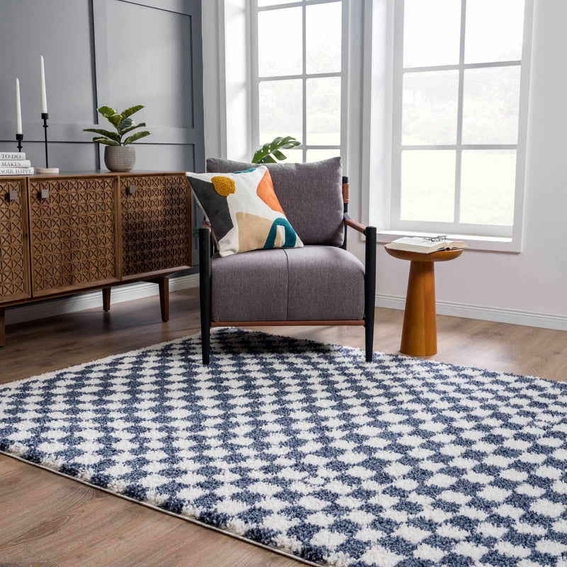 Kieu Blue & White Checkered Area Rug