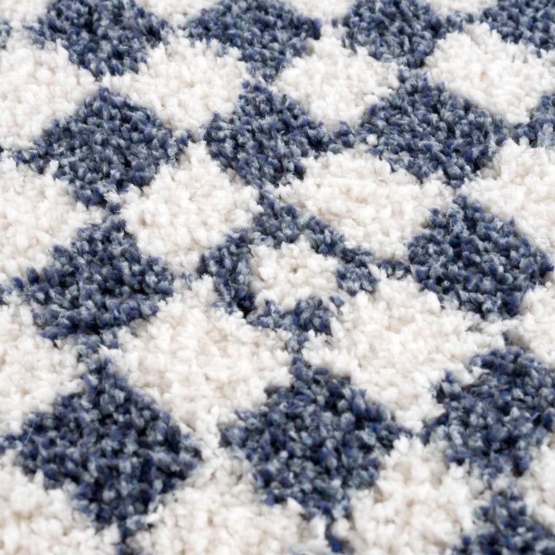 Kieu Blue & White Checkered Area Rug