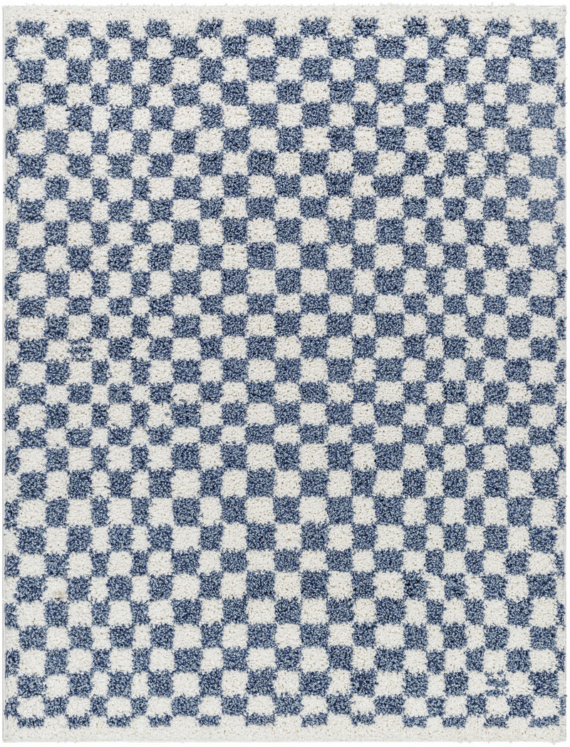 Kieu Blue & White Checkered Area Rug