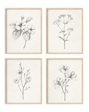 Botanical Wall Art Prints Set of 4