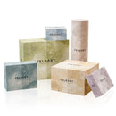 Botanical Blooms Towel Box by Feldart