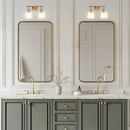 Brilliance Modern Farmhouse 2-Light Vanity Light