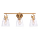 Brilliance Modern Farmhouse 3-Light Vanity Light