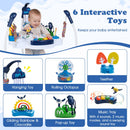 Baby Activity Center Baby Jumper and Bouncer with 6 Interactive Toys Lights and Music