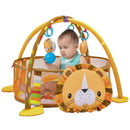 4-in-1 Baby Play Gym with Soft Padding Mat and Arch Design by LJGDeals