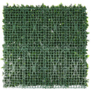 Sample Panel – White Flowering Boxwood Green Wall (Small Sample) by Designer Plants USA